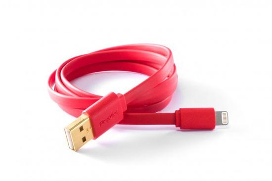 �������е�ŵ���� ProMiniȫ��Lightning������