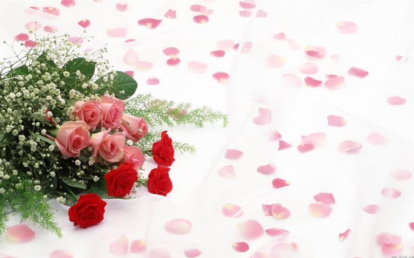 3.7Ů���������� Ҫ�;���һ�����ĵ�ʱ�к�Ʒζ