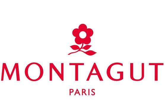 MONTAGUTͻ�ƴ�ͳʱװչģʽ ��������һ���ʱ������
