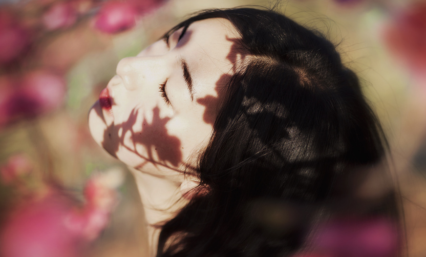 ������Sunny Ħ��������
