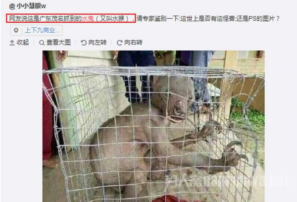 湛江现恐怖"水鬼"