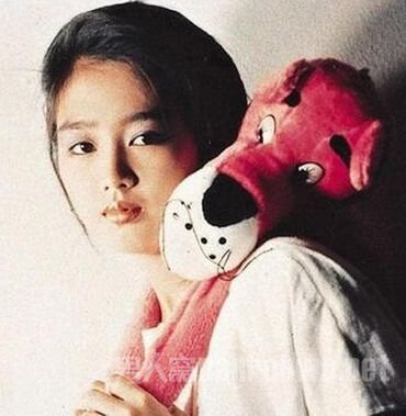 刘德华曾被约谈 刘德华朱丽倩情史大揭秘