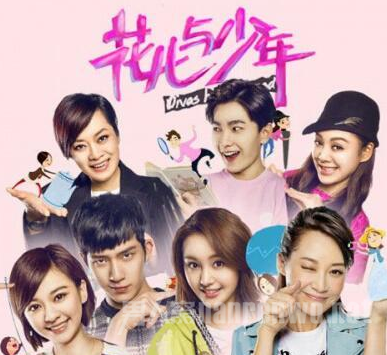 花儿与少年海报
