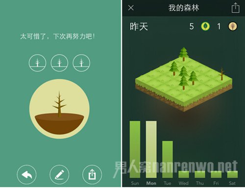 FOREST FOREST