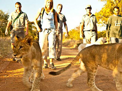 �ж��ڻҰ��ʮ�� ��ս��һ����������Ŀ