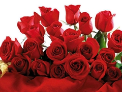 创意情人节 情人节怎么过才浪漫