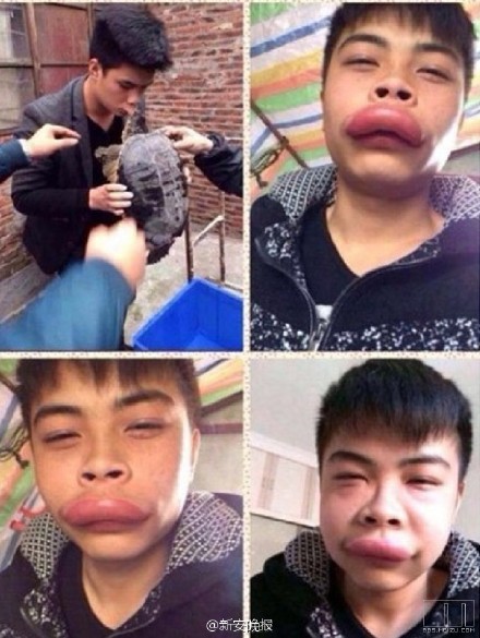 醉酒男超市“调戏”乌龟反被咬