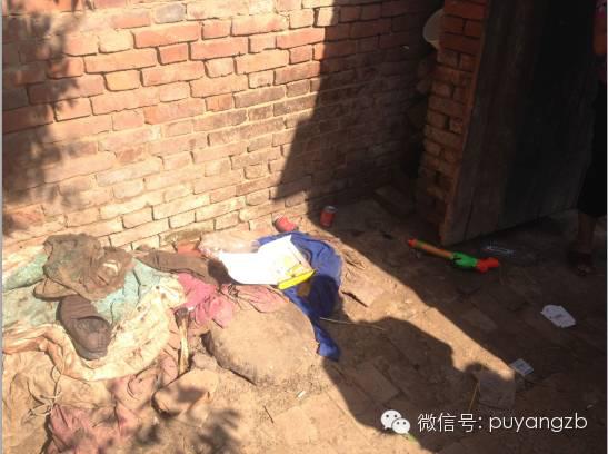 大门后面的墙角，就是小洪波一年四季的栖息地。