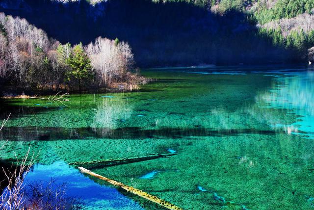 2016Ԫ�����κ�ȥ����������ɽ�����ɾ����