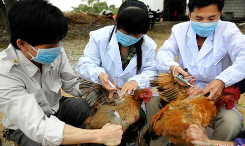 2016��h7n9������������Ϣ 1-2�·�Ϊ�߷���Ҫע��