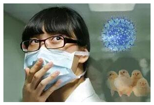 �����мӣ�h7n9Ǳ�����7�� ��������3-4��