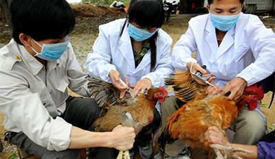 ������֢״���ð���� ��ȷ�˽������о����ż�ʱ