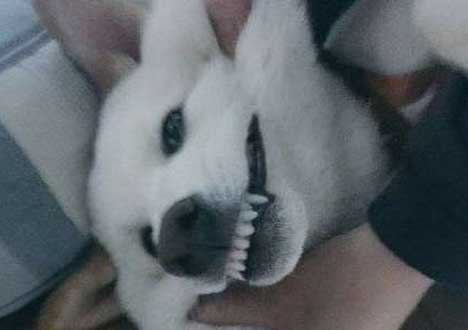 ��һ�ֹ� �б��˼ҵĹ�