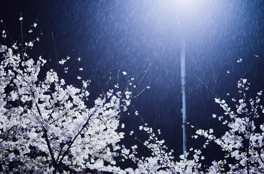 ӡ󡷵279:˼䷼ѩ ӣѩ