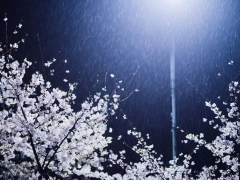 ˣӣѩ