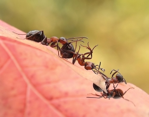 �Ŵ������������ ΢����Ӱȫ����Щ����