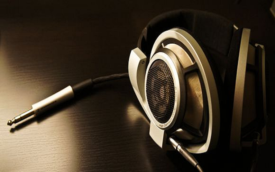 �µ���Ƶ�������� ����ɭ�������������