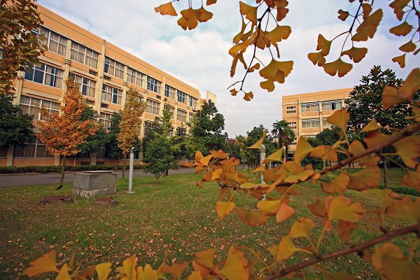 ��˻�����·�� �����͸����һ������