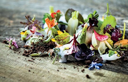 ��ʳ������Ĳ������˴�������