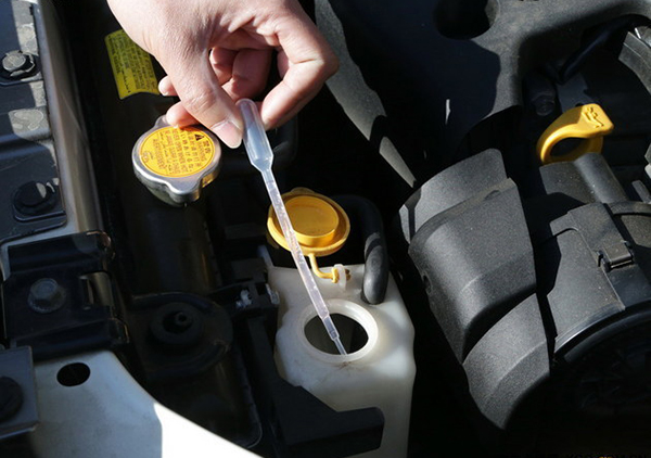 ���ĵ����������� ɥ����������������