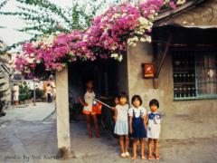 һȥ1979̨