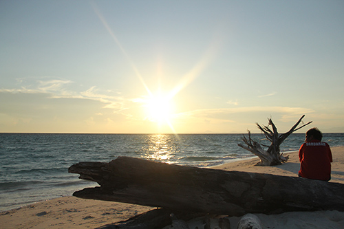 ʧ������ô�߳���  ���ֺ�����������