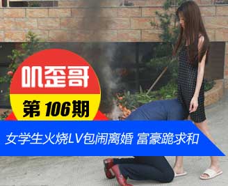 ��ߴ��� V0.106���������!Ů��ѧ������LV������� �����¹���