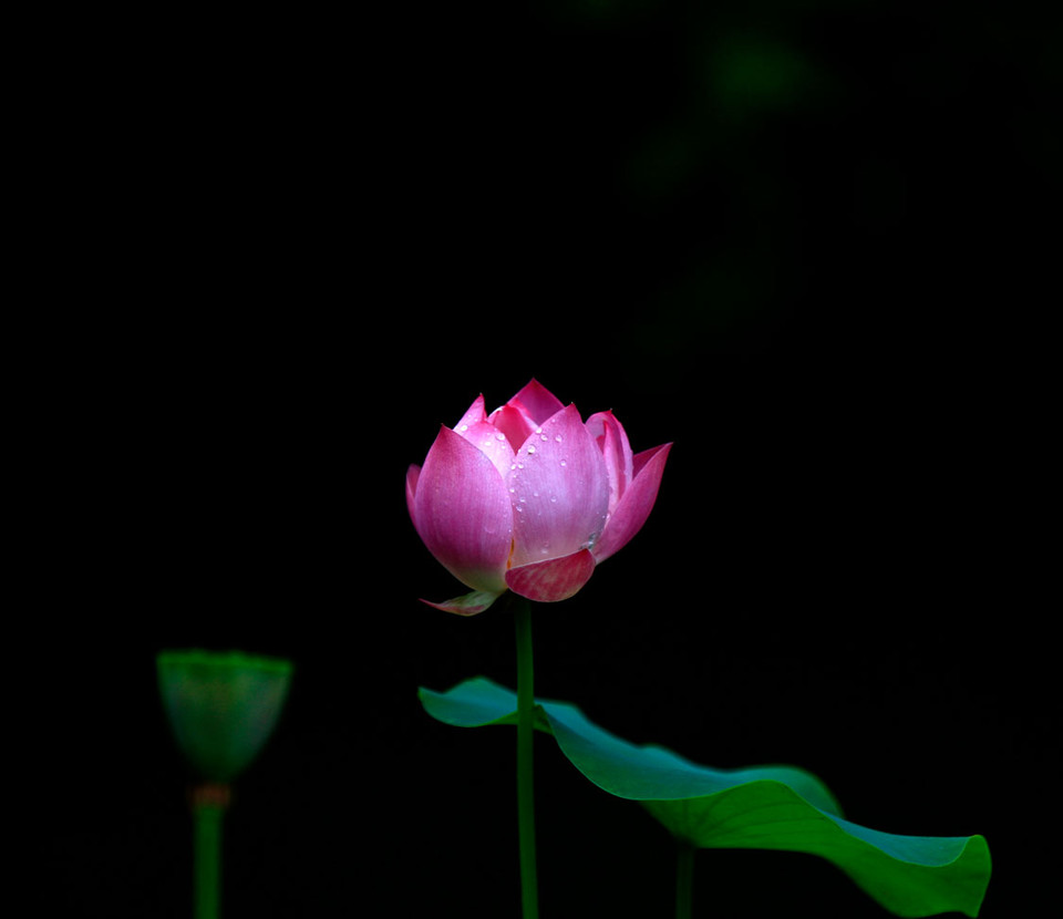 ɫ������Ӱ��Ʒ��ѱ������� ��Ӱʦ��ѧɫ�ʳ�ʶ