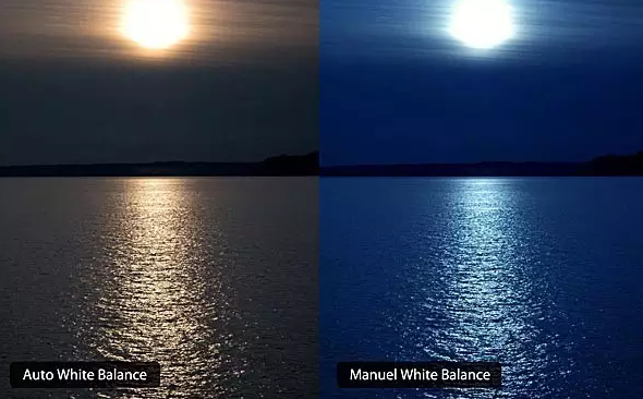 ��Щ������ӰС���ɴ�����ת��Ӱ