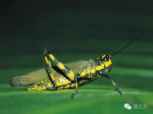 ѧ���⼸�� ΢�������治������