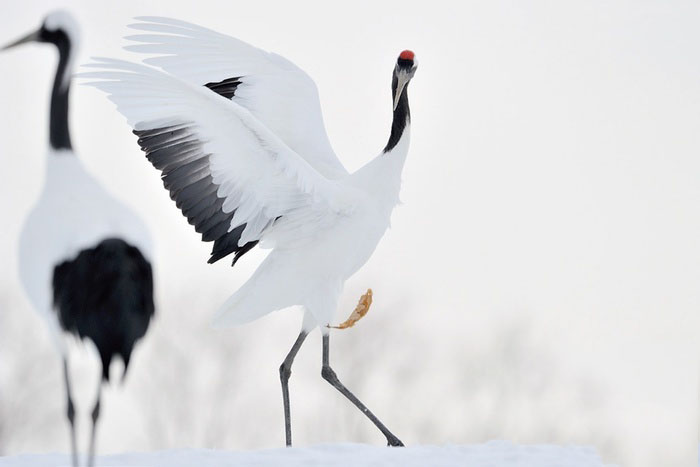 ������Щ���� ���������÷����Ϊ���Ƭ��֮��