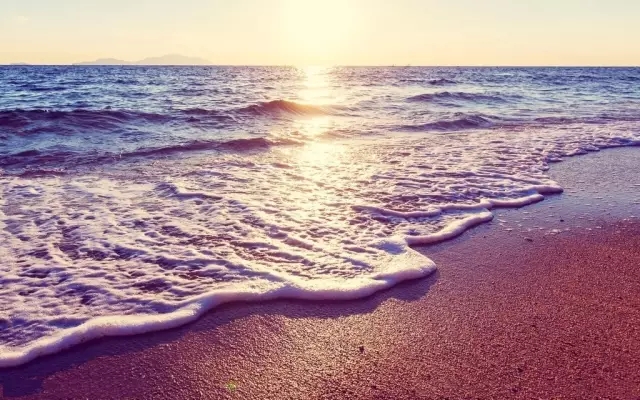 ���ճ��� ѧ��������㺣��