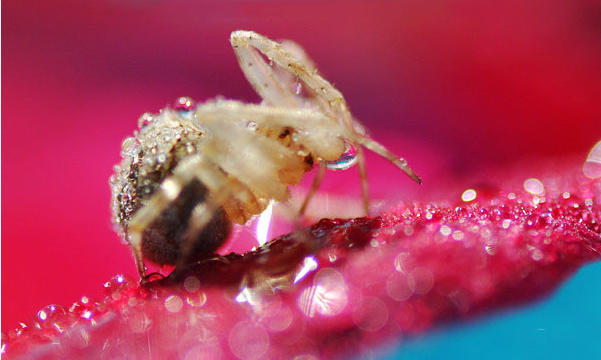 ��Ӱ���� �㲻����Ҳ�������ĳ�΢���Ƭ