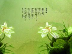  ֮Ҳ