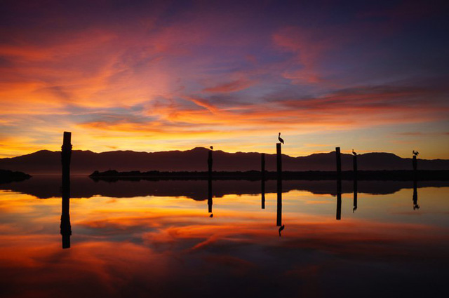 ��Ӱ���� �����ĳ�Ψ�����侰��