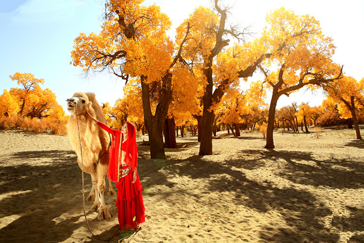 ʮһ�·�ȥ�����κ� ����������ε�