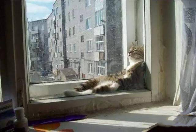 ������Ȼ����̫ǿ�� ��Щ�ȳ���Ҳ�ǳ����չ�ԡ