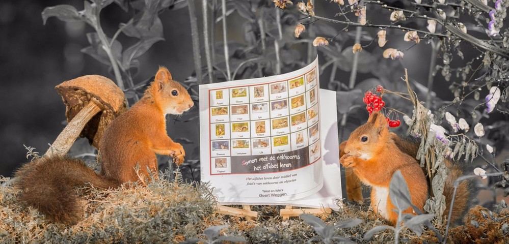 ����Ψ����Ӱ��Ʒ���� �����ů���а�