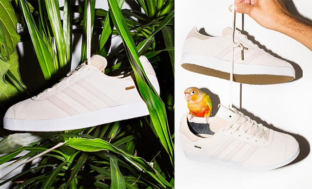 �߿Ƽ��˶�Ь ����Reebok��adidas�������� ��ѡ˭