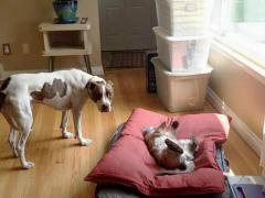 è˯��������̹�����ί��