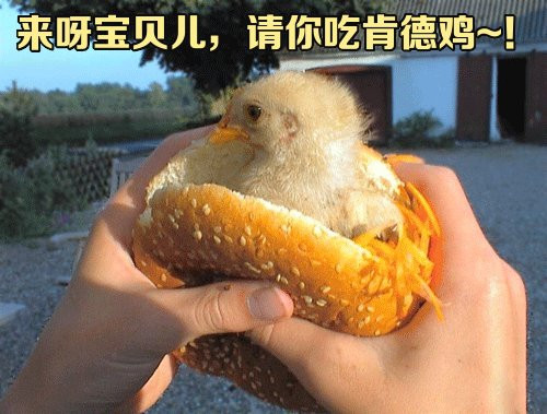 ������������б����ˣ���ѽ������ ����Կϵ¼���
