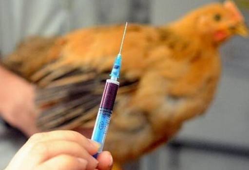 h7n9������������ô���£���Ҫ�ţ���������h7n9�ѳ�Ժ