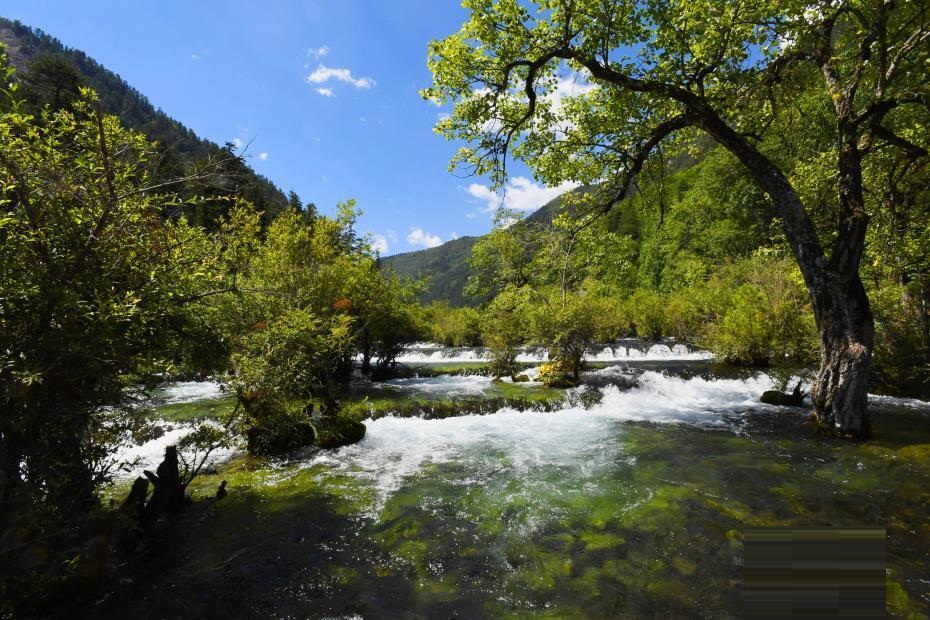 �����ľ�կ�����ó����� ��Ⱥ����ȻѤ��