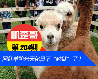 ��ߴ��� V0.204����УȦ�����������չ��컯���¡�Խ�����ˣ�
