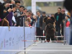 �����ٰ�������Ȥζ�˶���