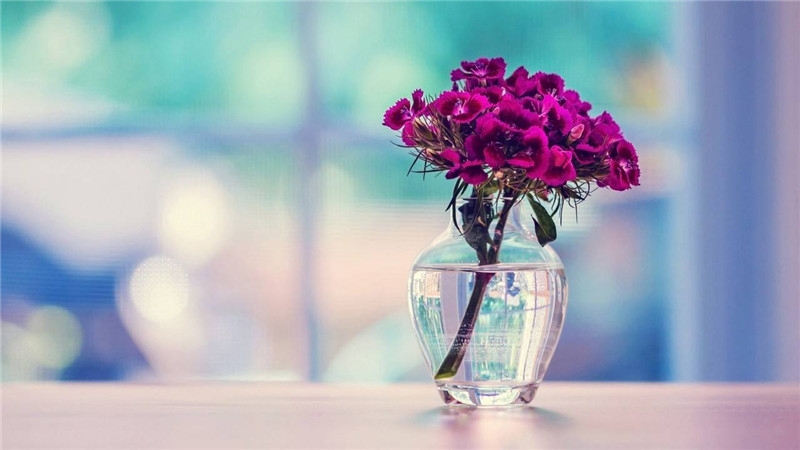 �к�׷Ů������· ��䲻������