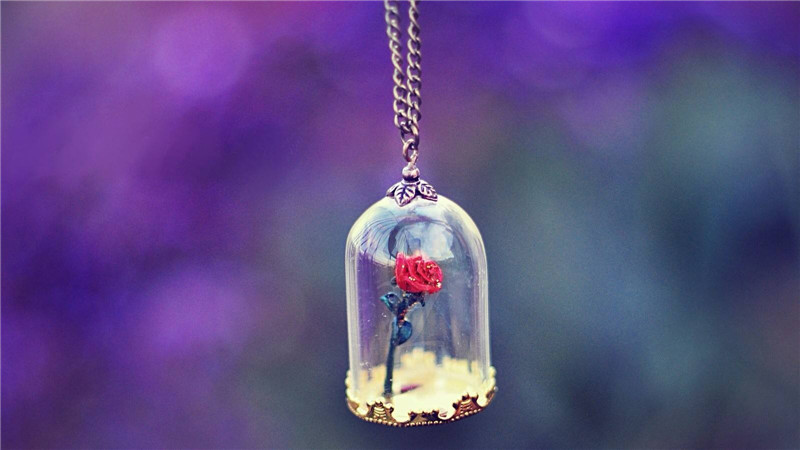 ��������ϲ����İ�ʾ �㿴������û