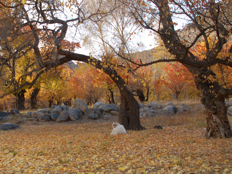 �����õĶ�������ů����� Ů���Ӷ�ϲ��ʲô