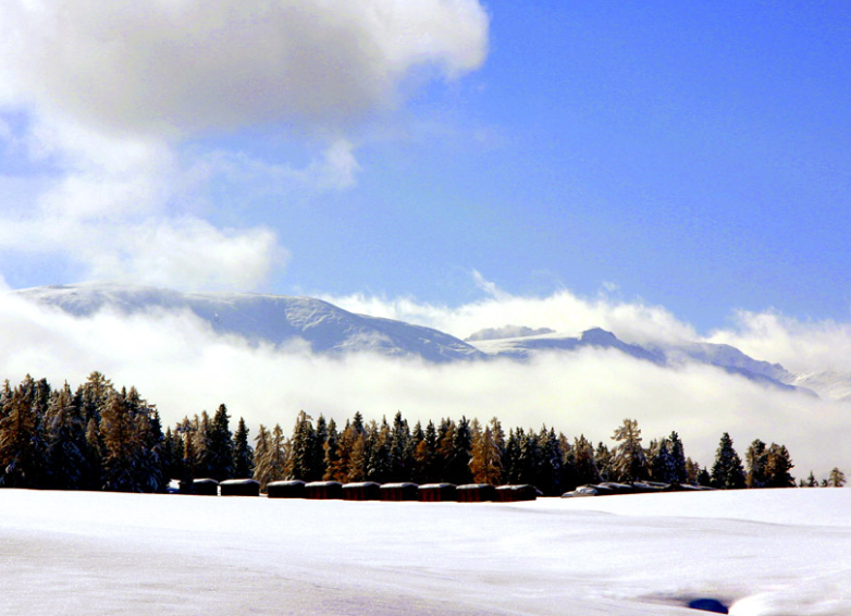 δ����������������ʹ�� ��������ɿ���