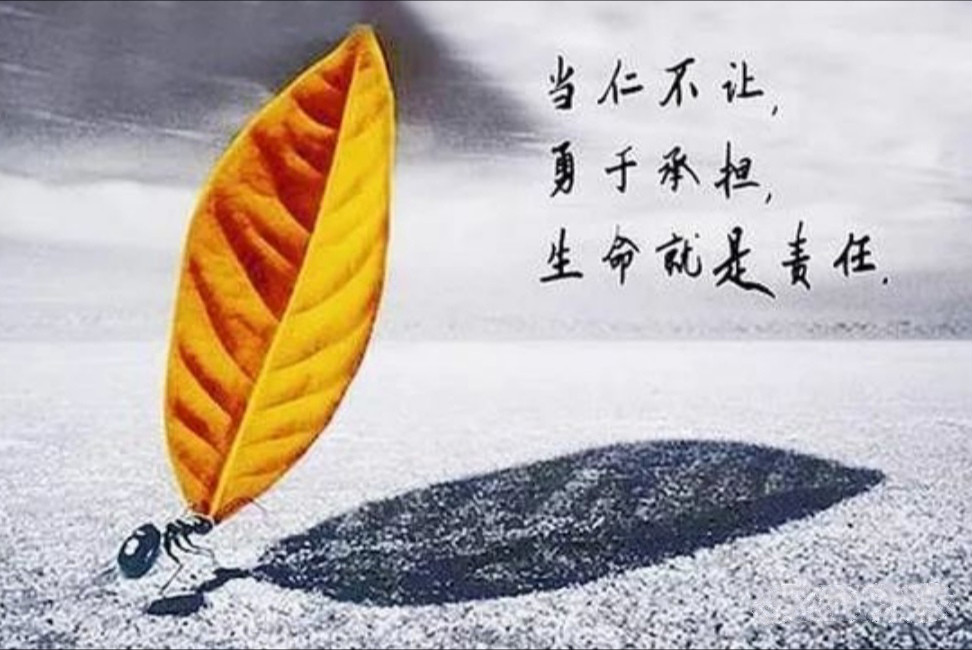 ��Ů������ĺ��� �������Ѿ������㲻����